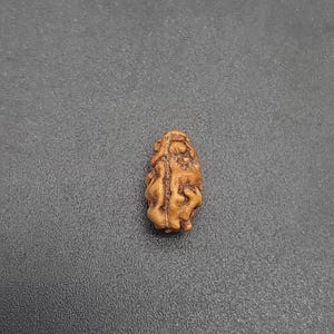 May include: A single brown seed with intricate carvings, resembling a human figure, on a grey background.