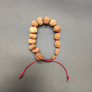 Java Rudraksha Healing Bracelet | Ganesh & Gauri Shankar Beads