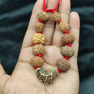 1 Mukhi to 9 Mukhi Rudraksha Bracelet  | One to Nine Face Rudraksha Bead Bracelet | Organic Beads Silver Bracelet