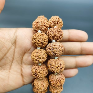 5 Mukhi Five Face Nepali Rudraksha Mala - Woolen Spacer Mala | Collector Japa Beads | Meditation Shiva Mala 54+1 Beads