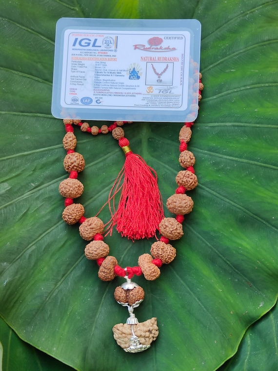 1-14 ムキ ルドラクシャ シッダ マラ: ガネーシュ ガウリ シャンカール