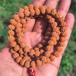 5 Mukhi Five Face AAA+ Premium Quality Chikna Pathri Rudraksha Mala 8-9mm | 108+1 Beads | Meditation Jap Mala | Mala Lab Certified