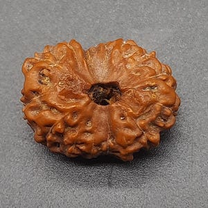 Könnte beinhalten: Eine braune, kunstvoll geschnitzte Rudraksha-Perle mit einem Loch in der Mitte.