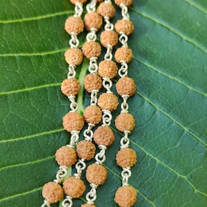 5 Mukhi Five Face Rudraksha Mala With Pure 925 Sterling Silver 108 Beads Mala | Panchmukhi silver Rudraksha Mala with Certificate 5-6mm