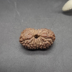 May include: A brown, carved wooden bead with a central hole. The bead has a detailed, textured surface with floral or leaf-like patterns. The bead is oval-shaped and appears to be hand-carved, showcasing intricate craftsmanship.