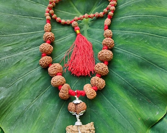 1 to 14 Mukhi Rudraksha Mala | One to fourteen face Rudraksha Beads Mala | Ganesh Gauri Shankar Rudraksha Siddha Mala | Meditation Mala