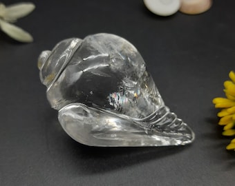 Pure Sphatik Clear Quartz Shank | Sacred Hindu Crystal Shank | Spiritual Healing and Meditation Stone