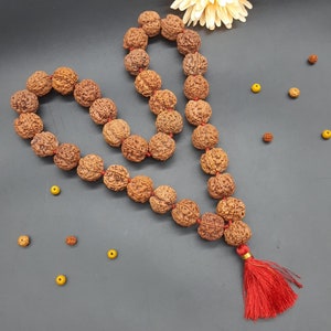 5 Mukhi Five Face Rudraksha Mala | Nepal Rudraksha Jaap Mala | 32+1 Beads Mala | 25-27mm Beads