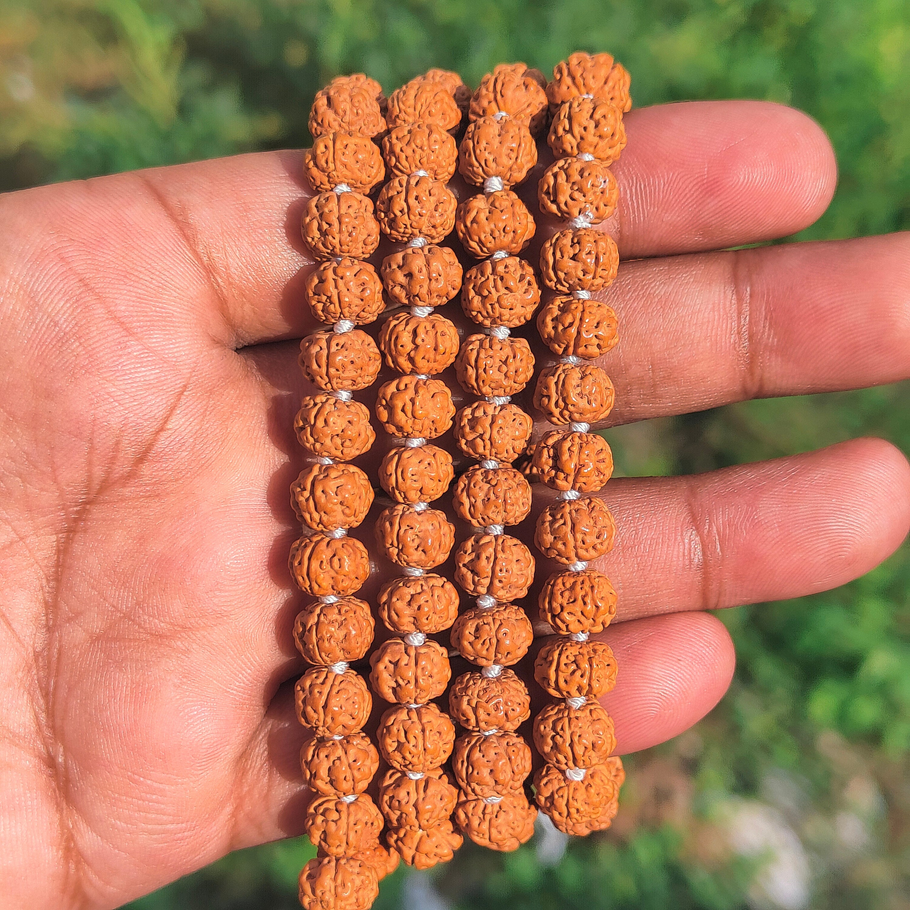 Pathri Rudraksh 5 Mukhi Rudraksha Mala • AAA+ Chikna Pathri, 108 Prayer Beads - Etsy