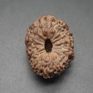 May include: A brown, intricately carved, round bead with a hole in the center. The bead has a textured surface with a pattern of small, raised bumps.