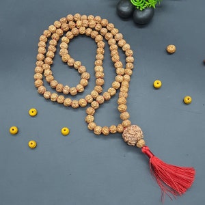 Nirakar Faceless Rudraksha Mala With Sumeru Rudraksha Lab Certified 108+1 bead | face Lord Shivas Rosary Japa mala 8-9 mm beads