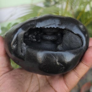 Rare Lakshmi Narayan Shaligram From Nepal Gandaki River – 1.502 kg | 5.5&quot; x 5&quot; x 2.8&quot; | Symbol of Prosperity and Blessings