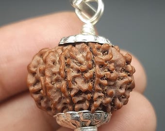9 Mukhi / Nine Face Nepal Rudraksha Bead with Pure Silver Pendant 21-23 mm