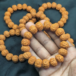 5 Mukhi Five Face Chikna Pathri Rudraksha Beads Bracelet | Premium Quality Rudraksha Beads Adjustable Bracelet 12mm (Pack of 2)