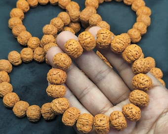 Rudraksha Bead Bracelet, Natural Prayer Beads, Hindu Shiva Meditation Bracelet, Yoga Spiritual Jewelry Gift