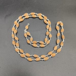 Authentic 2 Mukhi Rudraksha Mala | Java Beads 54+1 | Pure Silver Healing Necklace