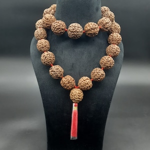 1-14 ムキ ルドラクシャ シッダ マラ: ガネーシュ ガウリ シャンカール