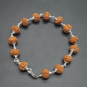 5 Mukhi Five Face Chikna Pathri Rudraksha Bracelet With Pure Silver | Panchmukhi silver Rudraksha Bracelet with Certificate 10-11 mm