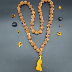 4 Mukhi Four face Rudraksha mala Nepal with bhrahm knots 54+1 beads 18 mm | Beads Necklace | Organic Four Face Mala