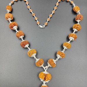1 to 14 Mukhi, Ganesha or Gaurishankar Rudraksha Siddha Mala Nepal With Pure Silver 20-25mm