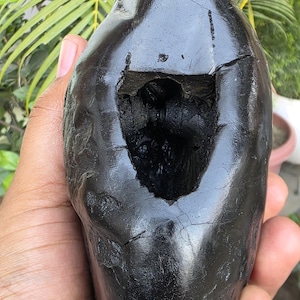 Auspicious & Divine Lakshmi Narayan Shaligram – 1.332 kg | 5.1&quot; x 4.8&quot; x 2&quot; | Sacred Fossil from Gandaki River