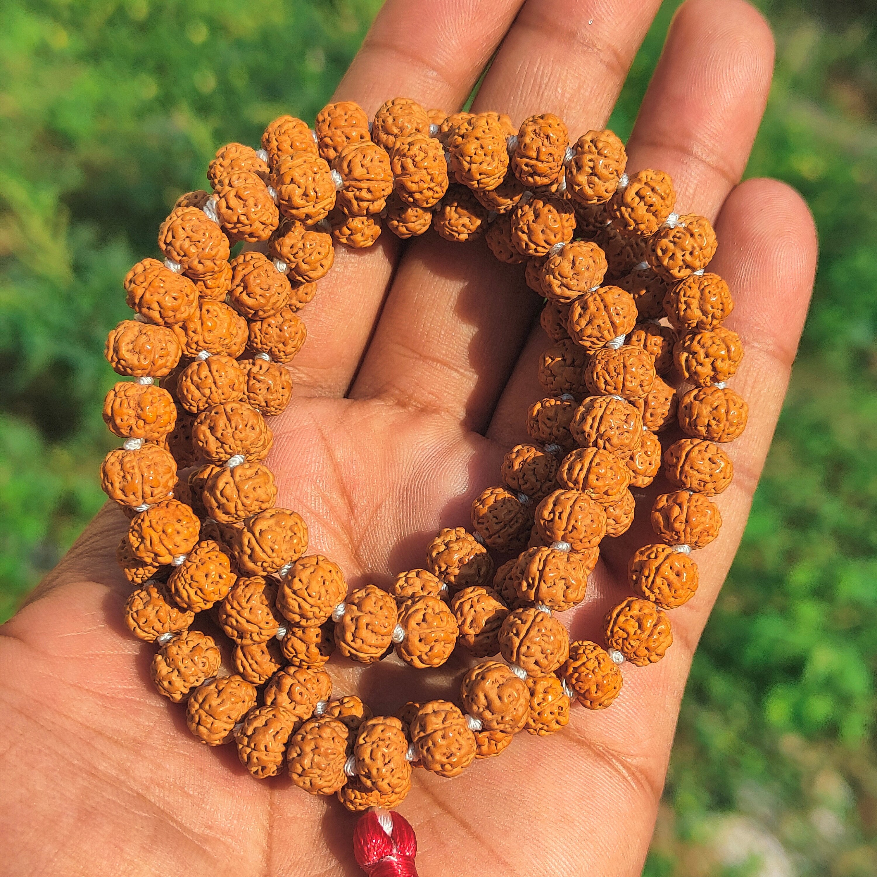 Pathri Rudraksh 5 Mukhi Rudraksha Mala • AAA+ Chikna Pathri, 108 Prayer Beads - Etsy