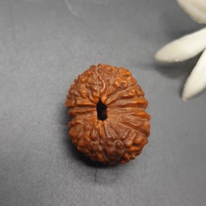Op de afbeelding: Een bruine, ronde houten kralen met een gat in het midden. De kraal heeft een getextureerd oppervlak en lijkt van natuurlijk hout te zijn.