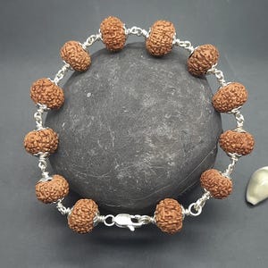8 Mukhi Eight Face Java Rudraksha Beads Bracelet with Pure Silver 12-14 mm, Lab Certified