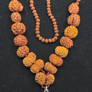 1 to 14 Mukhi, Ganesha or GauriShankar Rudraksha Siddha Mala Nepal - Lab Certified | Original Rudraksha Beads Necklace