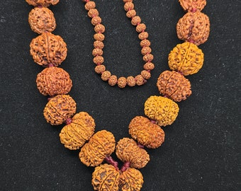 1 to 14 Mukhi, Ganesha or GauriShankar Rudraksha Siddha Mala Nepal - Lab Certified | Original Rudraksha Beads Necklace