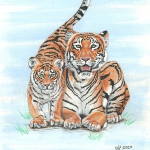 Tiger Family - 2020