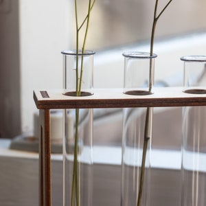 Puede incluir: Un soporte de madera con cuatro tubos de ensayo de vidrio transparente, cada uno con un solo tallo de vegetaci&oacute;n seca.