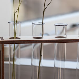 Puede incluir: Un soporte de madera con cinco tubos de ensayo de vidrio transparente. El soporte est&aacute; hecho de madera clara con una mancha marr&oacute;n oscura. Un solo tallo con hojas est&aacute; en el primer tubo de ensayo.