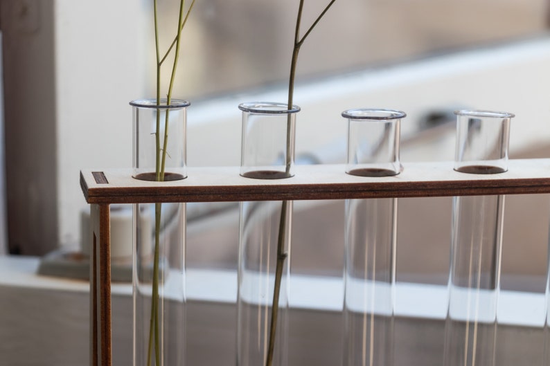 Puede incluir: Un soporte de madera con cinco tubos de ensayo de vidrio transparente. El soporte est&aacute; hecho de madera clara con una mancha marr&oacute;n oscura. Un solo tallo con hojas est&aacute; en el primer tubo de ensayo.