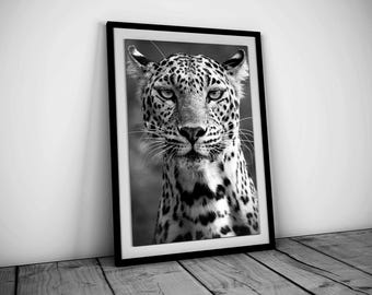 Gepard-affisch, svartvitt, lyxigt modetryck, vintagefotografi, Y2k & Hypebeast-rumsdekor, utskrivbar väggkonst, digital nedladdning