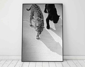 Leopard and Jaguar Walking Print: Black and White Wall Art, Safari Animal Photography (Digital Download)
