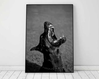 Dobermann Pinscher Hund Druck, Luxus Mode Poster, schwarz und weiß, Hypebeast Dekor, druckbare Wandkunst, digitaler Download, Y2k Poster