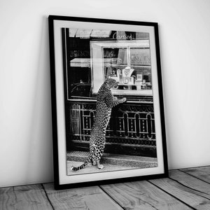 Panther in the Jewelry Shop Print, Cheetah Poster, Black and White, Vintage Photography, Fashion Print, 1950s, Wall Art, Digital Download