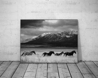 Black and White Western Print, Running Desert Horse Photography, Southwestern Decor, Vintage Horse Poster, Wild West Photo, Digital Download