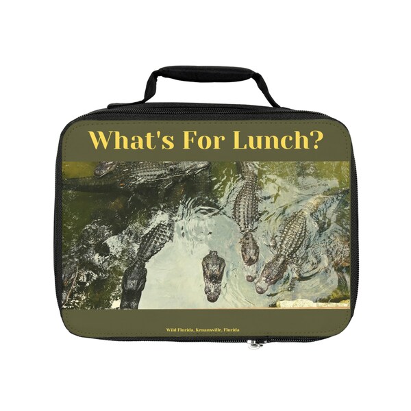 Florida Gators Lunch Box Etsy