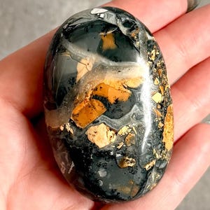 May include: A polished, oval-shaped stone featuring a complex pattern of deep black, charcoal grey, and warm golden-brown inclusions. The surface is smooth and reflective, displaying a mix of dark mineral veins and lighter, earthy patches.