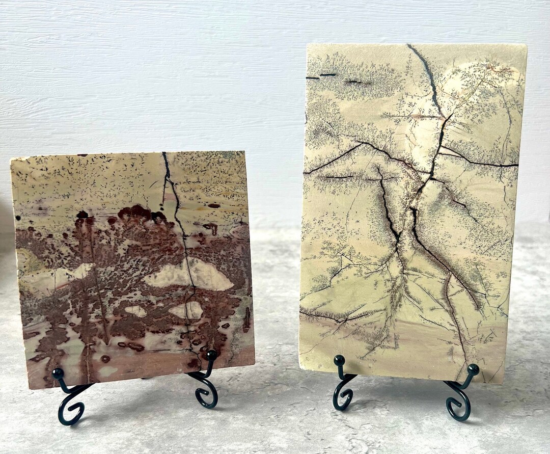 Picture Jasper Slabs With Stands You Choose Etsy