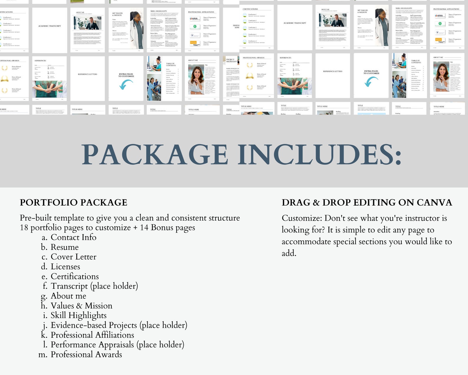 Nursing Portfolio Template Nursing Professional Portfolio Nurse nursing-portfolio-template-nursing-professional-portfolio-nurse