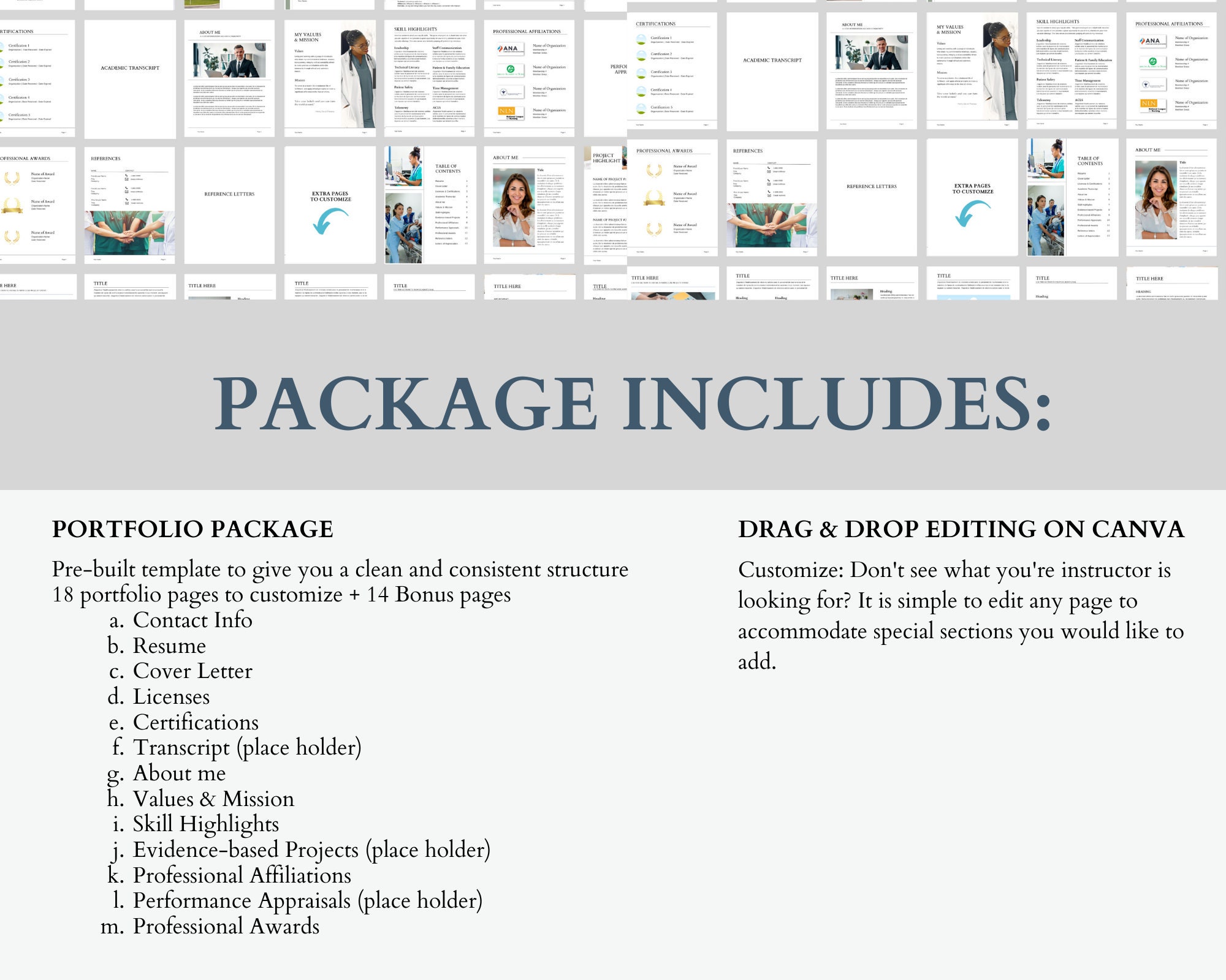 Nursing Portfolio Template Nursing Professional Portfolio Nurse nursing-portfolio-template-nursing-professional-portfolio-nurse