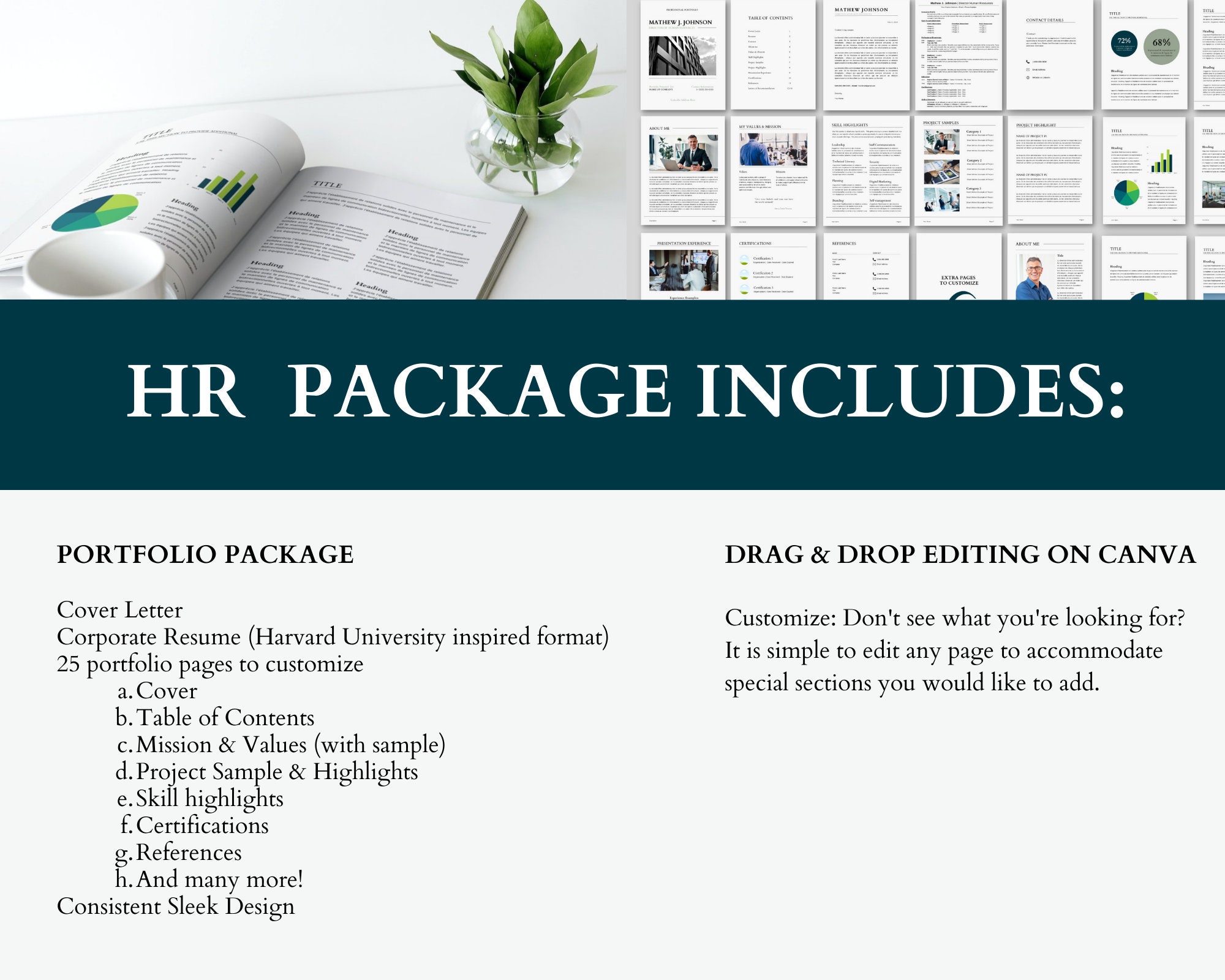 HR Professional Portfolio Template Human Resources Portfolio Etsy hr-professional-portfolio-template-human-resources-portfolio-etsy