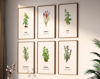 12 Herbs Bundle Wall Art Set | Digital Print | Kitchen Decor | Botanical Illustrations | Printable Art | Multiple Sizes | Gift