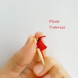 Modèle au crochet oiseau cardinal. Tutoriel photo Cardinal. Modèle PDF d'oiseau cardinal au crochet.