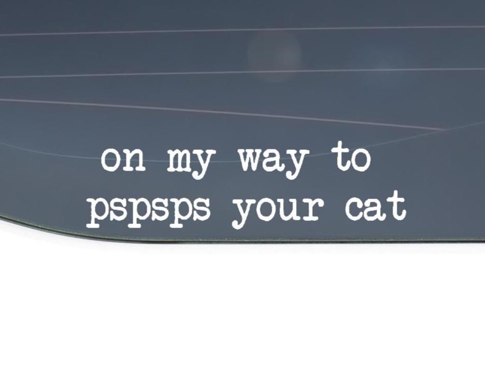 On My Way to PSPSPS Your Cat Vinyl Decal – Customizable Car Window ...