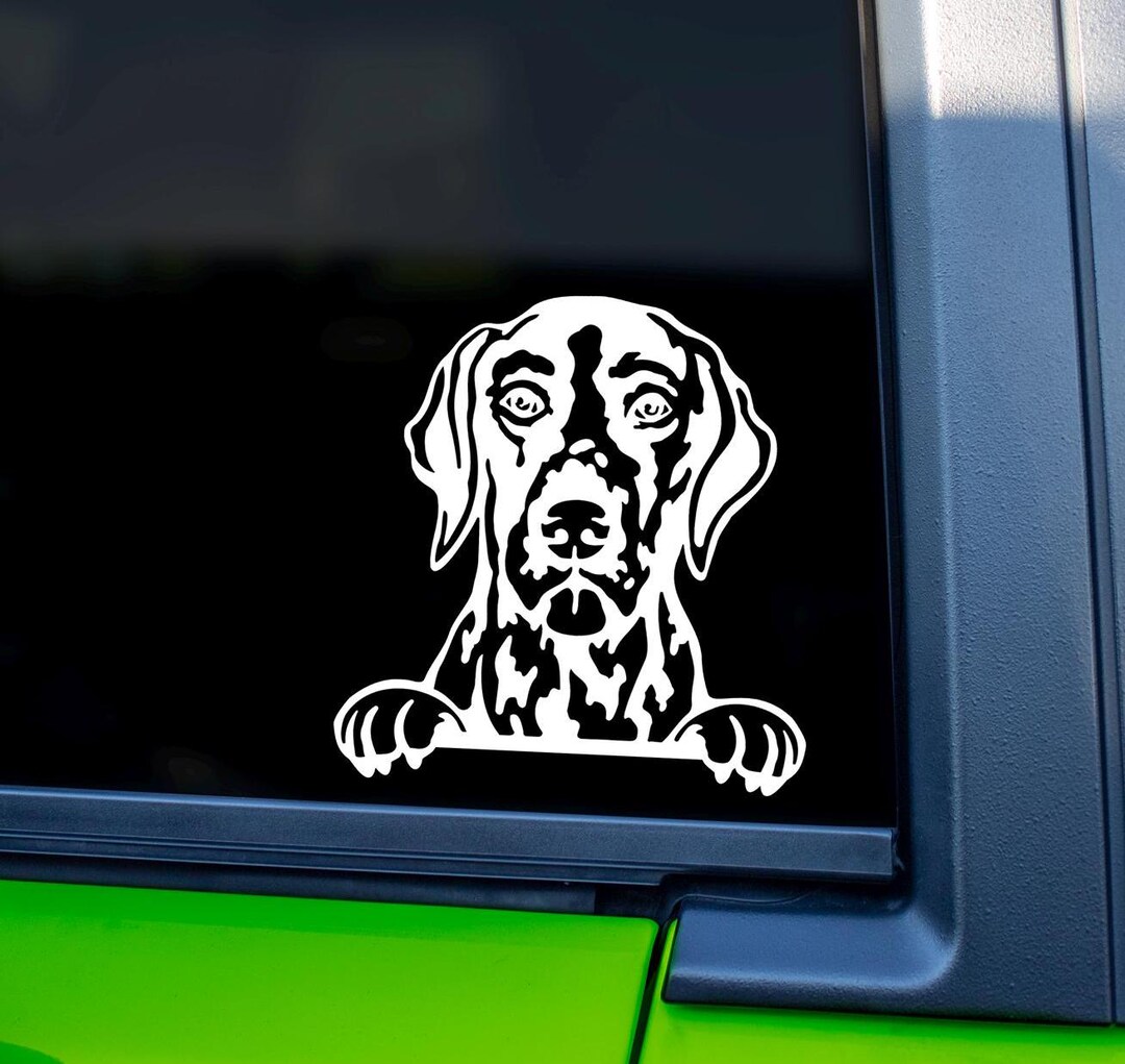 Peeking Pointer Dog Vinyl Decal | Car, Laptop, Home Decor - Etsy