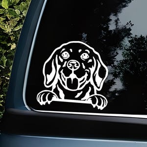 Spähender Beagle Vinyl-Aufkleber für Hundeliebhaber | Aufkleber Beagle | Haustier-Besitzer Geschenkidee